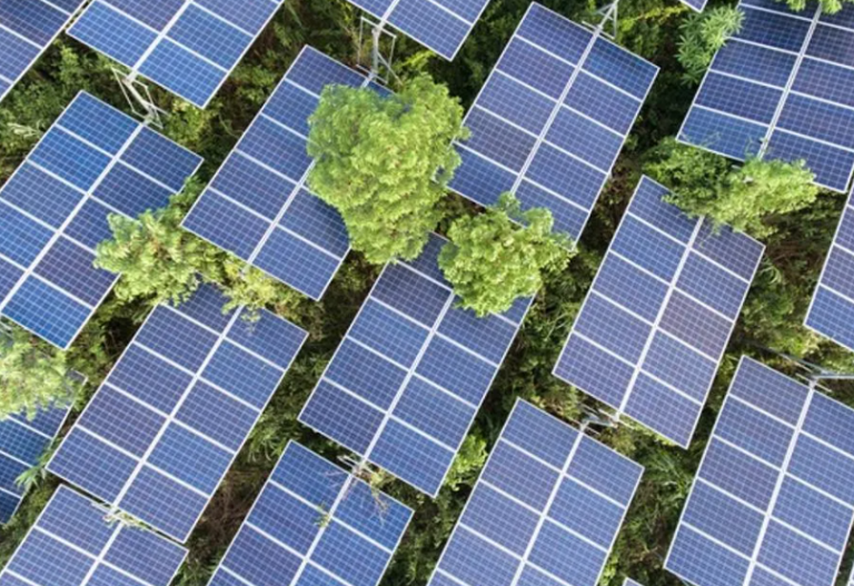 The Future of Energy: Exploring the Trends of Solar Power Generators